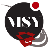 MSY Dropshipping logo