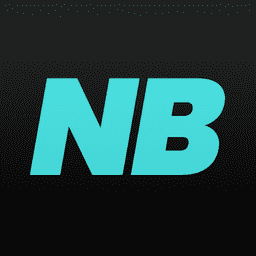 NicheBay ‑ Dropshipping & DTC logo