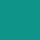Flyweight AI Chatbot & AI Chat logo