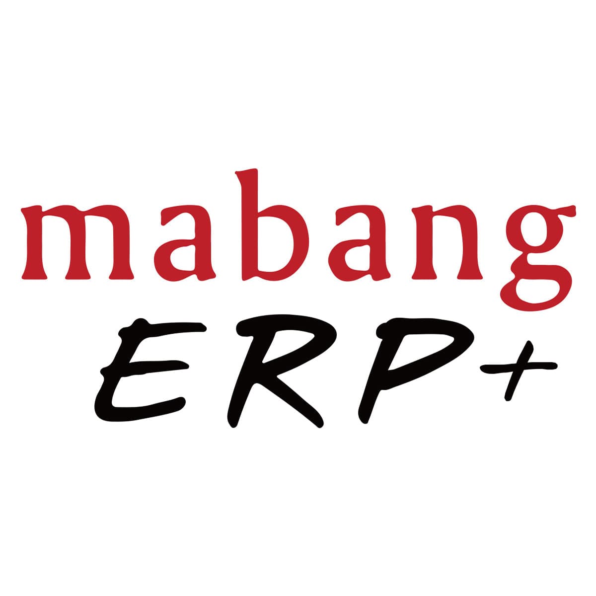 One-stop cross-border e-commerce operation management system. logo