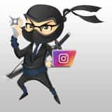 Instagram Feed Ninja logo