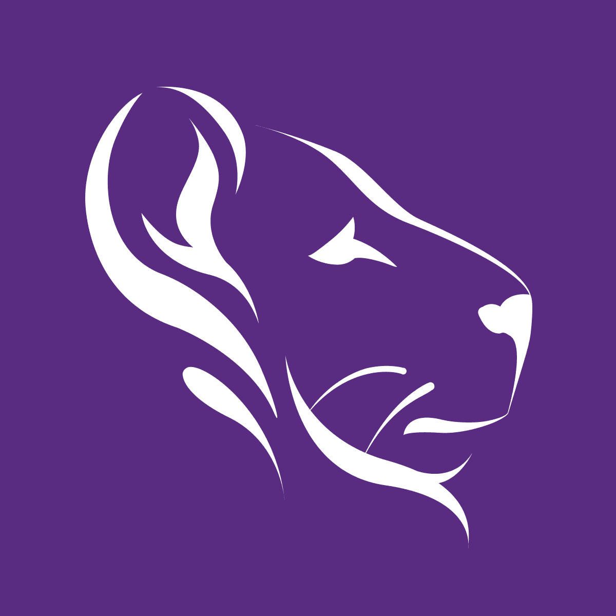 Customer insights & analytics logo