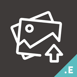 Bulk Images Upload logo