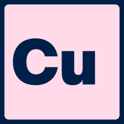 Customs Buddy logo