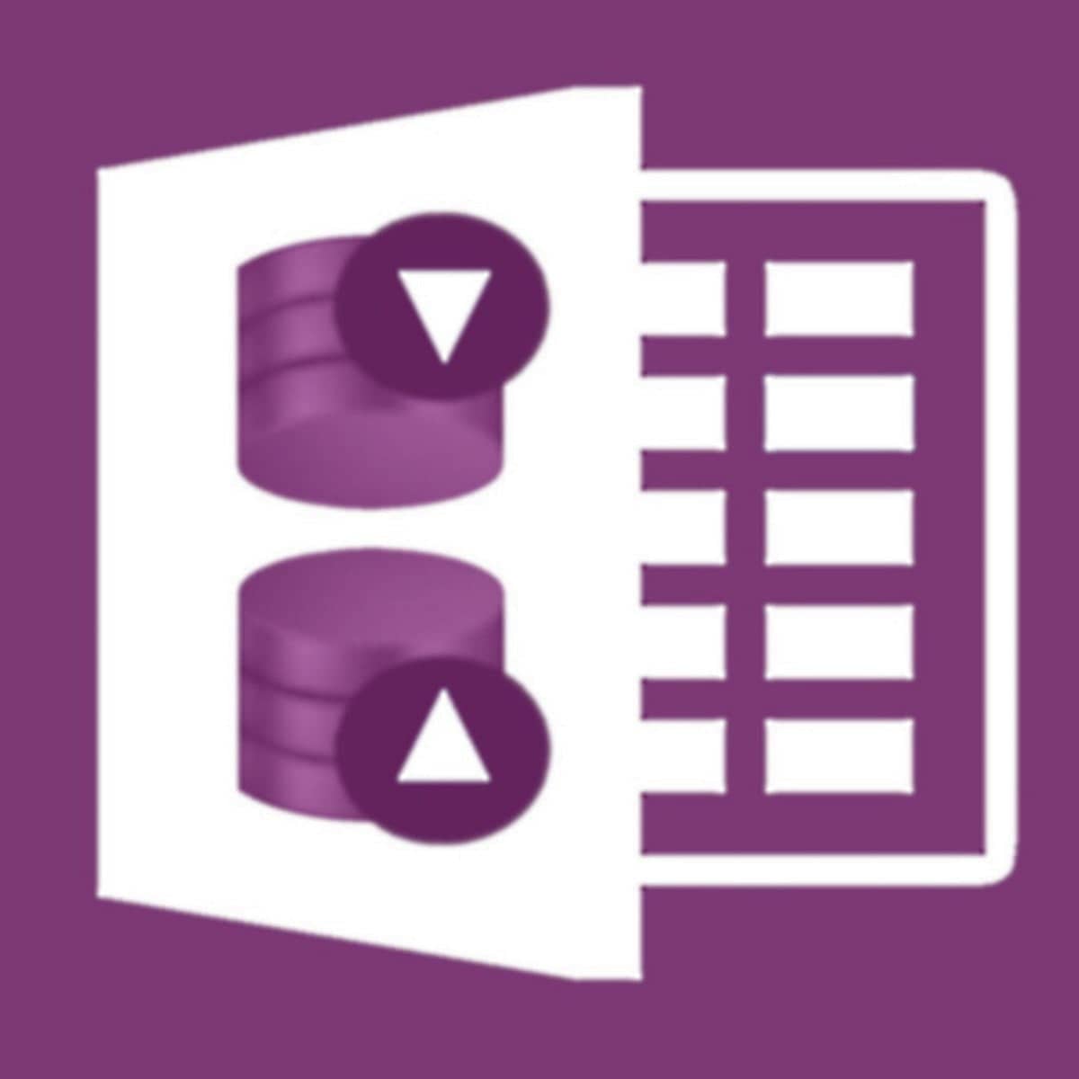 Seamlessly edit, import or export products, variants and metafields with active tabular interface logo