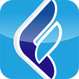 Facturis Online Sync logo