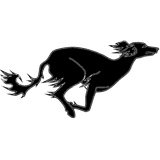 Borzoii: AMP on Autopilot logo