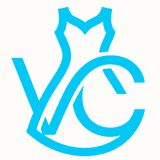 Virtual Center Live logo