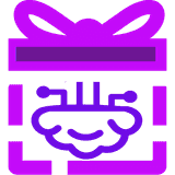 BundleIQ logo
