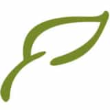 WeForest logo