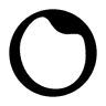 OptiLens logo