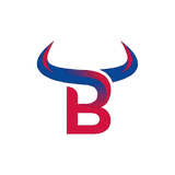 Rankbull: AI Visibility & SEO logo