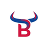 Rankbull: AI Visibility & SEO logo