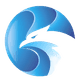 Pushfalcons logo