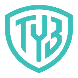 TY‑Bridge logo