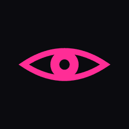 Loook Audit logo