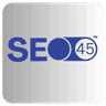 SEO45 AI SEO & Auto Blog logo