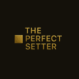 Perfect Setter: DM & Commerce logo