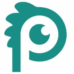 Poinzilla logo