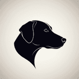 Flow Buddy logo