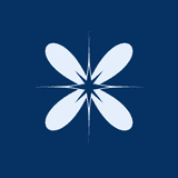 Assilem Cart Drawer logo