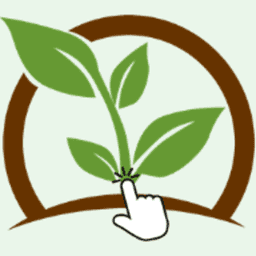 Click A Tree: Profit & Impact logo