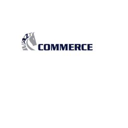 VaZtEnrich logo