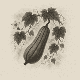Luffa logo