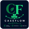 CaseFlow logo