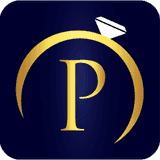 Plushvie AI Virtual Try‑On logo