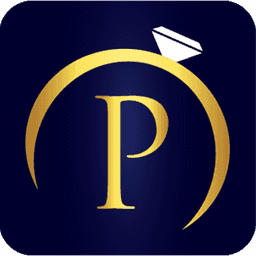 Plushvie AI Virtual Try‑On logo