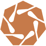 ProMotionAI logo
