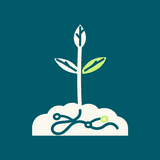C Level: Climate Counts logo