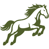 Bronco logo