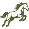 Bronco logo