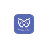WisdomChat ‑ AI for Fashion logo
