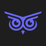 Brandwise: AI Customer Service logo