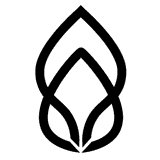 Medpaid HSA | FSA logo