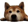 Inutrail Reviews logo