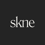 skne.ai logo