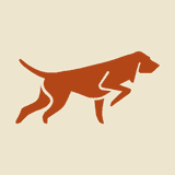 VeryQuery ‑ Search & Insights logo