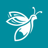 Datafirefly AI Studio logo