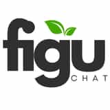 Figu ‑ AI Chatbot & Live Chat logo