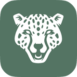 ChopChopify Speed Optimizer logo