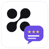 BitHub Google Reviews Widget logo
