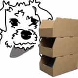 Bucky Sync Inventory logo