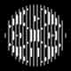 WavExp: Playlist Music Player logo