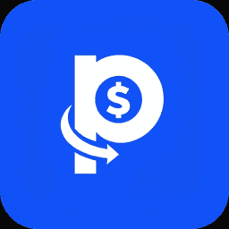 Paidback: Win Chargebacks logo