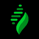 Eevy AI Store & CRO Optimizer logo
