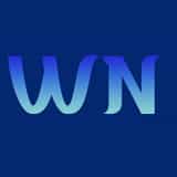 Wave Notify logo
